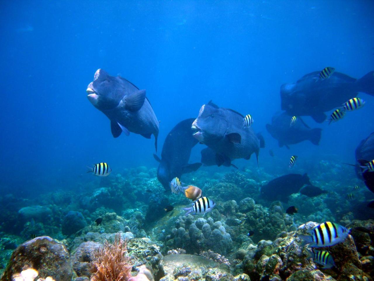 Matahari Tulamben Resort, Dive & Spa Facilities photo